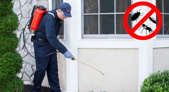 Tuşba Dezenfeksiyon böcek ilaçlama ve haşere kontrolü — ilaclama-tr.com